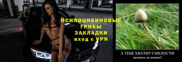 соль ск Алзамай