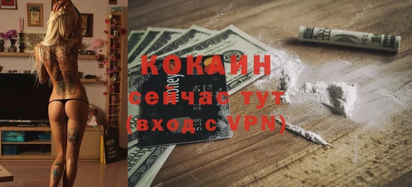 прущие грибы Абдулино