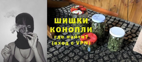 соль ск Алзамай