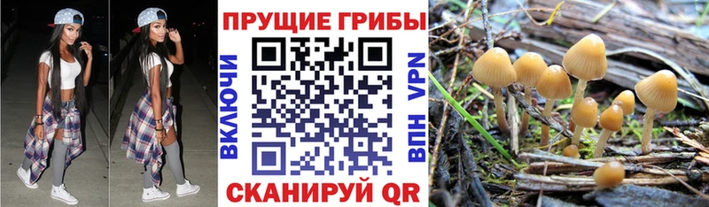 Псилоцибиновые грибы мухоморы  Дмитровск 