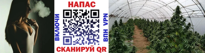 blacksprut как зайти  Дмитровск  Канабис гибрид 